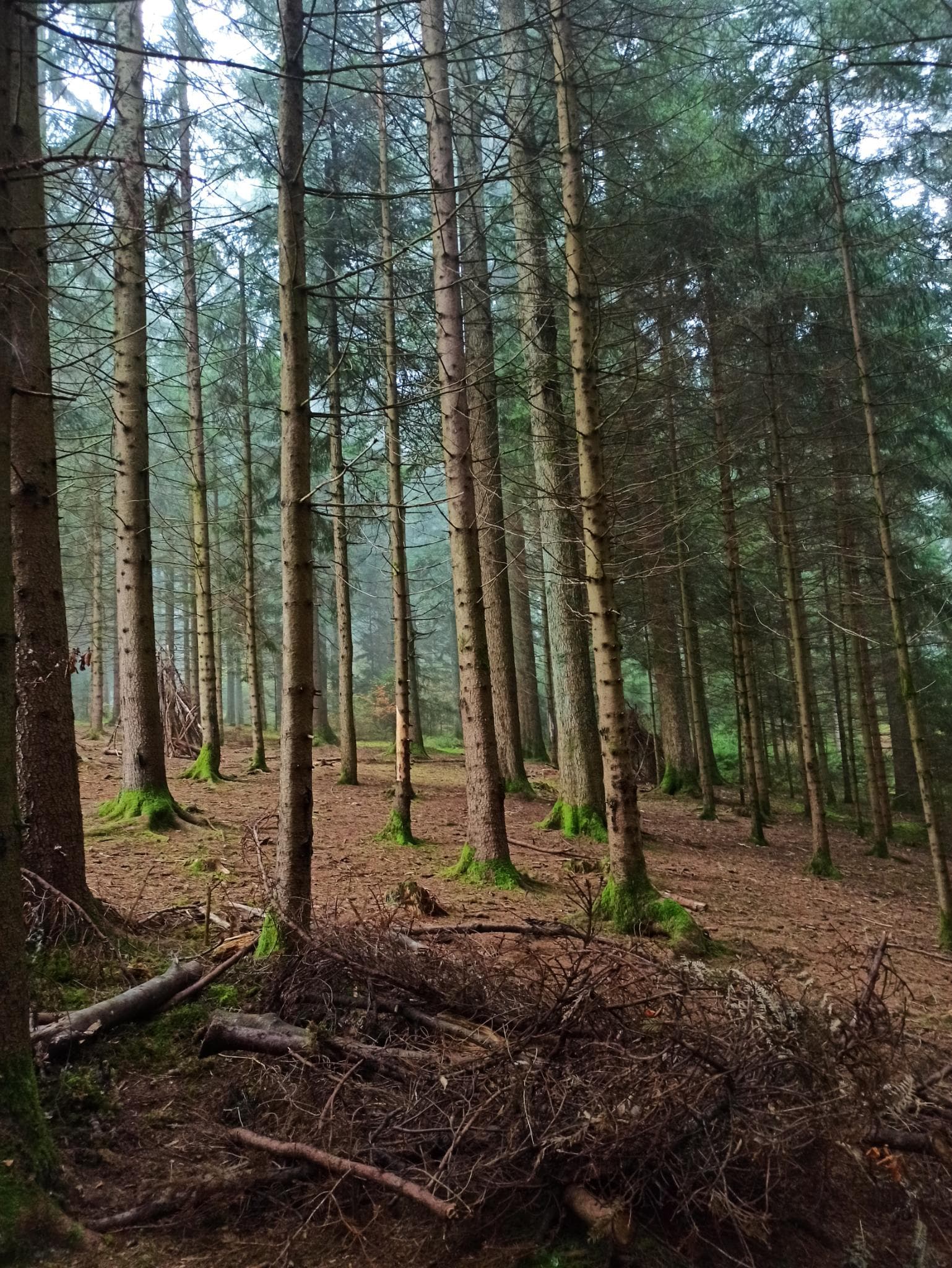 Klassenfahrt Harz – Klassenentwicklung