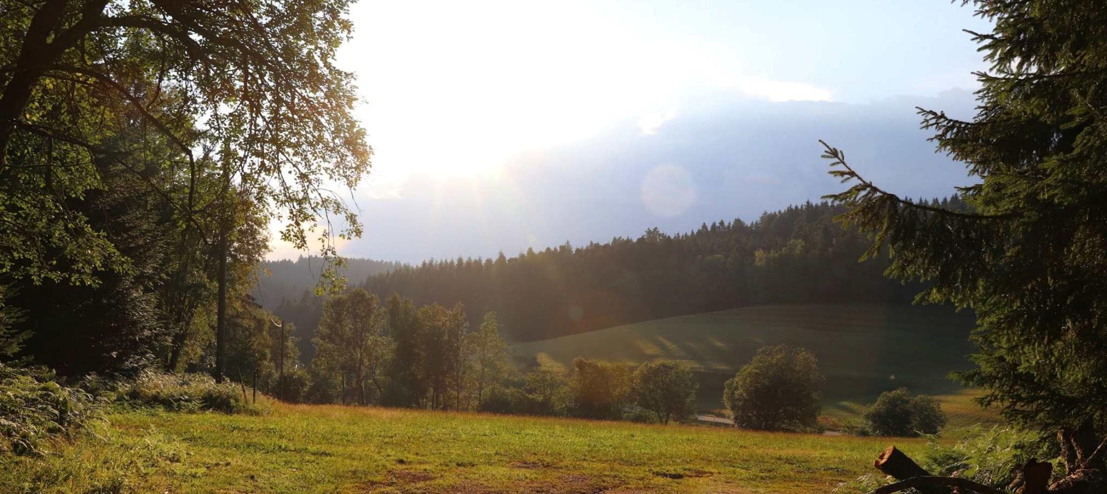 Familienbildungsfreizeit Kommunikation Pfingsten in Gästehaus Moosenmättle - Bild 7